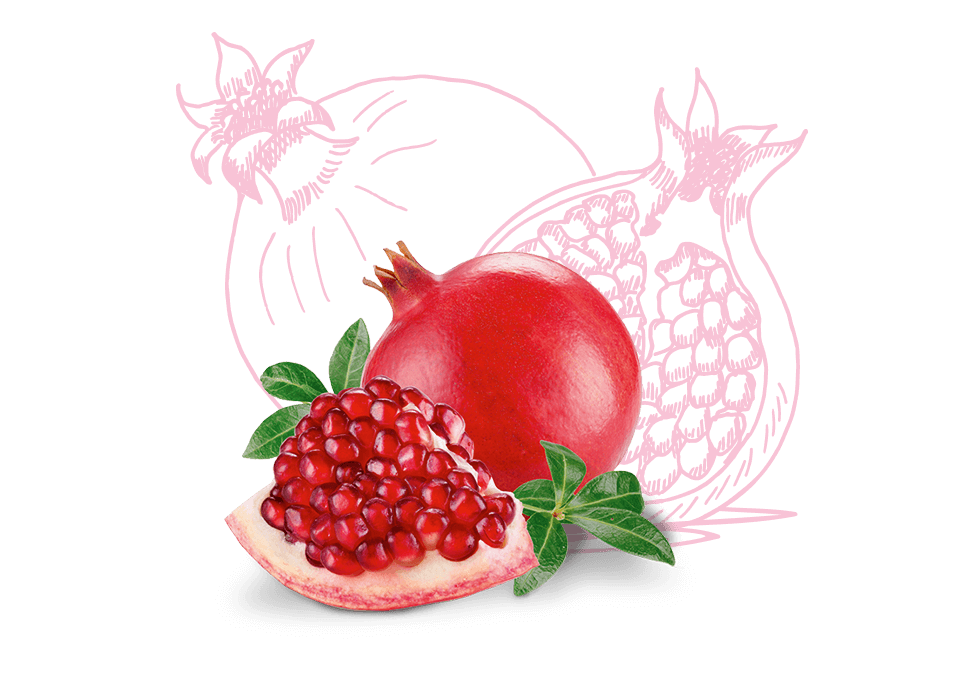 Cosnature BIO Naturalne regenerujące serum z owocem granatu Anti Aging 30ml - zdjęcie 2