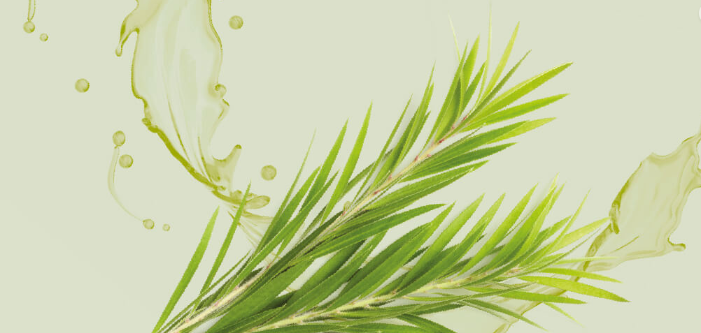 dr. organic Szampon w kostce do włosów przetłuszczających się z olejkiem z drzewa herbacianego i cytryną (oczyszczanie i odbudowa) 75g - zdjęcie 4