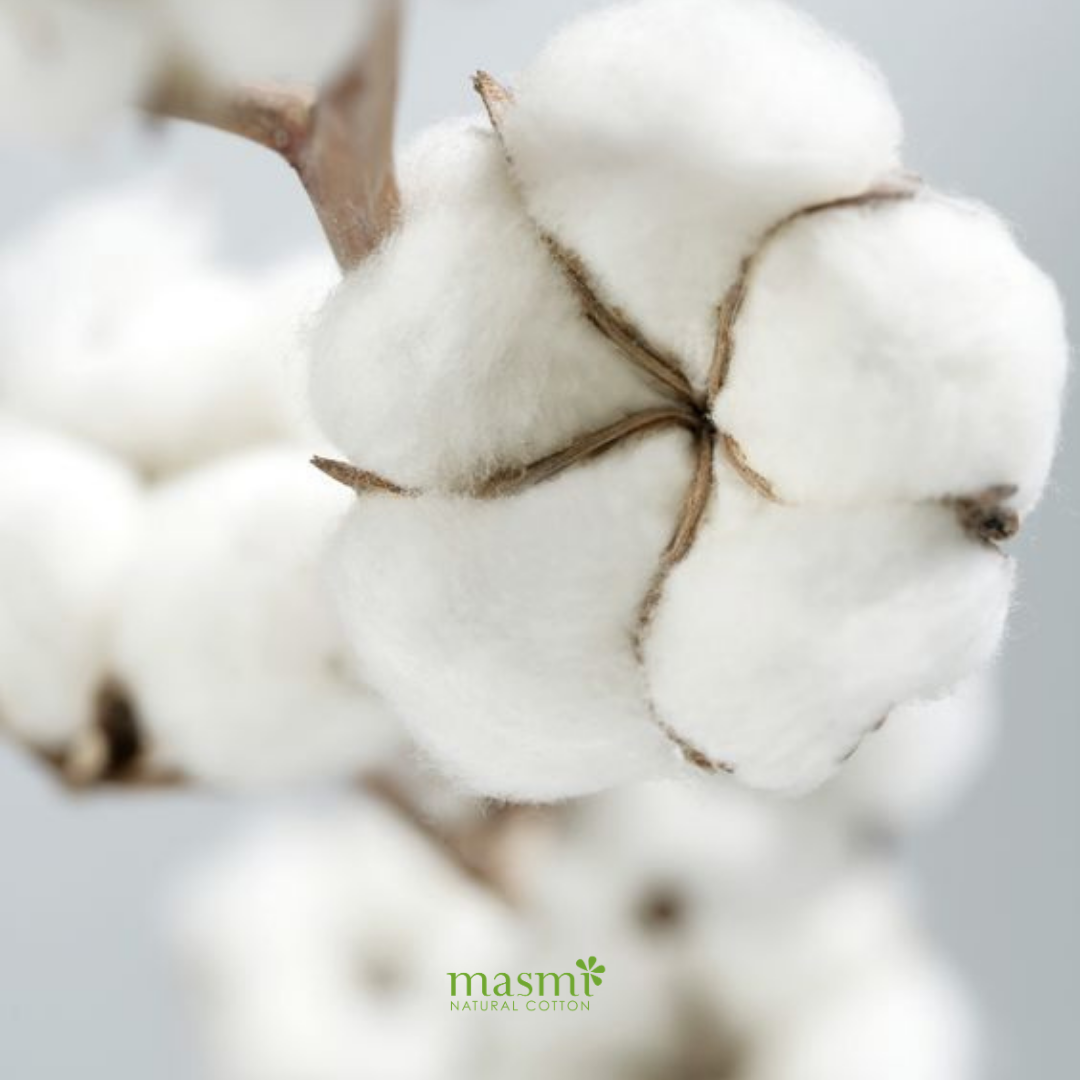 Tampony ekologiczne bawełniane Regular (z aplikat.) Masmi 100% BIO 16 szt. - zdjęcie 6