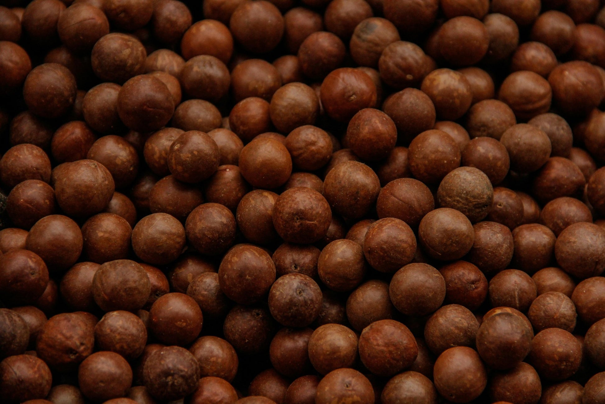 Szampon regenerujący z olejem makadamia i arganowym naturalny Lavera 250 ml - zdjęcie 4