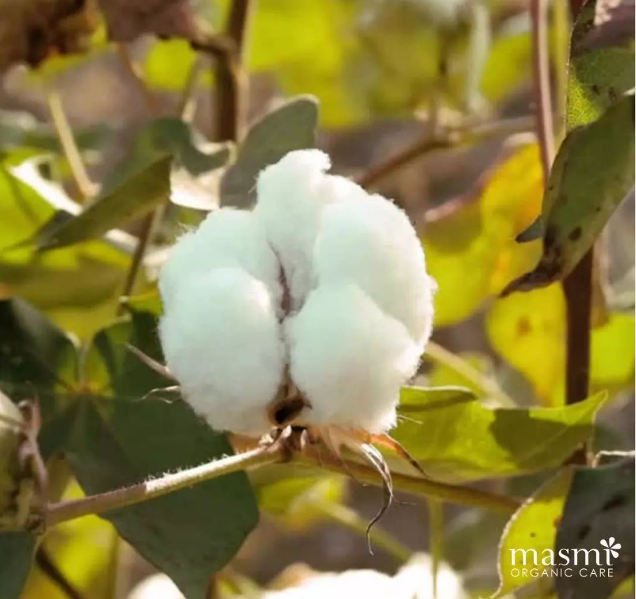 Podpaski ekologiczne na dzień Masmi BIO 100% bawełny organicznej 10 szt. - zdjęcie 7