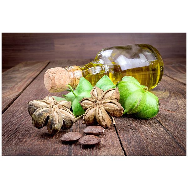 Sante Ochronny krem pod oczy z organicznym olejem Inca Inchi i probiotykami 15ml