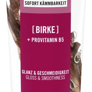 Sante Odżywka nadająca połysk z ekstraktem z liści brzozy i prowitaminą B5 150 ml