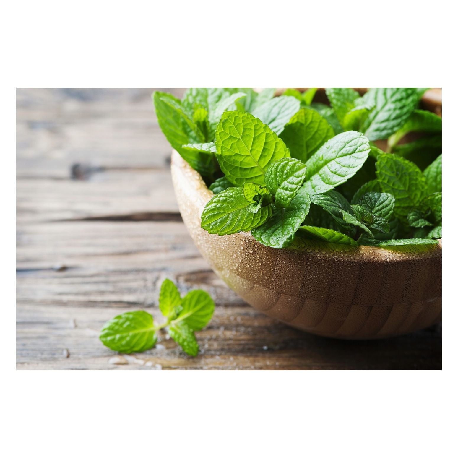 Logona Micelarna pianka oczyszczająca z organiczną miętą i kwasem salicylowym z kory wierzby 100ml