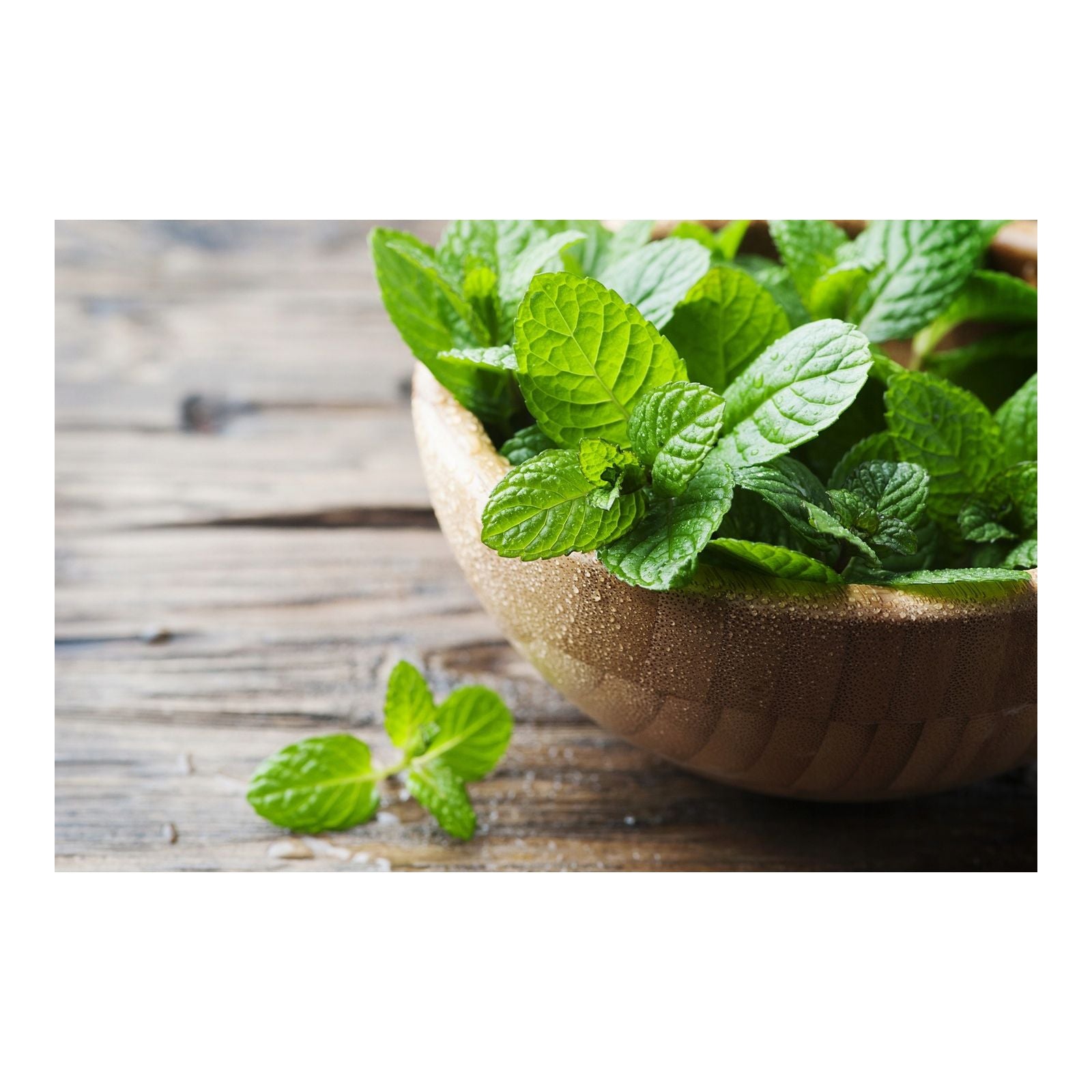 Logona Oczyszczająca maska z organiczną miętą i kwasem salicylowym z kory wierzby 15ml